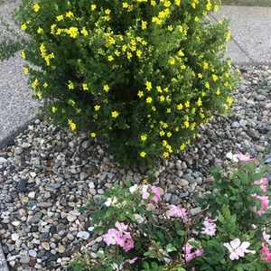 Meet your Posher, Savannah